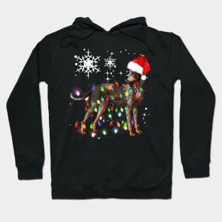 Christmas Lights Bluetick Coonhound xmas Hoodie